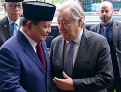 Viral … Presiden Prabowo Sisir Habis HGU dan HGB Bermasalah, Lahan Disita Negara