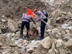 Unit K-9 Polda Jabar Temukan Tiga Titik Diduga Korban Longsor di Gunung Kuda Cirebon