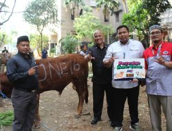 Semarak Idul adha 1446 H : JNE Pusat Salurkan Hewan Kurban melalui EEGD ke Disnaker, Polres Jakbar, & Masjid Al Mujahidin