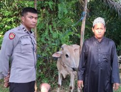 Kapolsek Nanga Tayap Serahkan Bantuan Hewan Kurban dalam Rangka Hari Raya Idul adha 1446 H